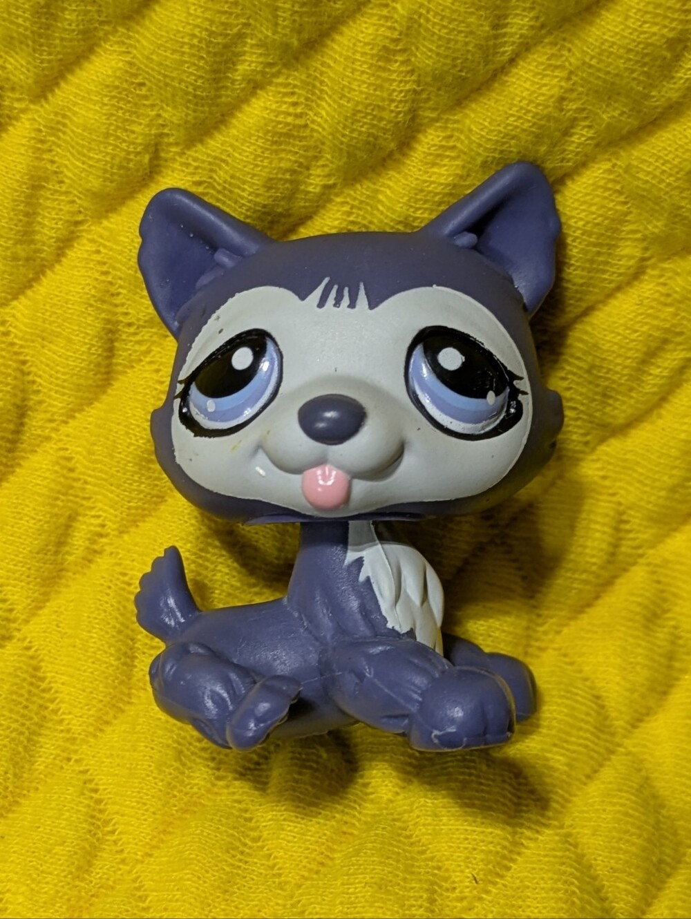 LPS#785/900🔥 INDIGO HUSKY👉 Authentic Littlest Pet Shop Gen 2